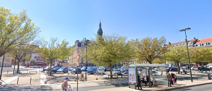 A Roanne, « les arbres abattus sont à 99 % des arbres qui ont un problème sanitaire » déclarait M. Lassaigne