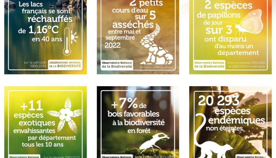 ”Stratégie biodiversité” de l’agglomération, des moyens bien maigres