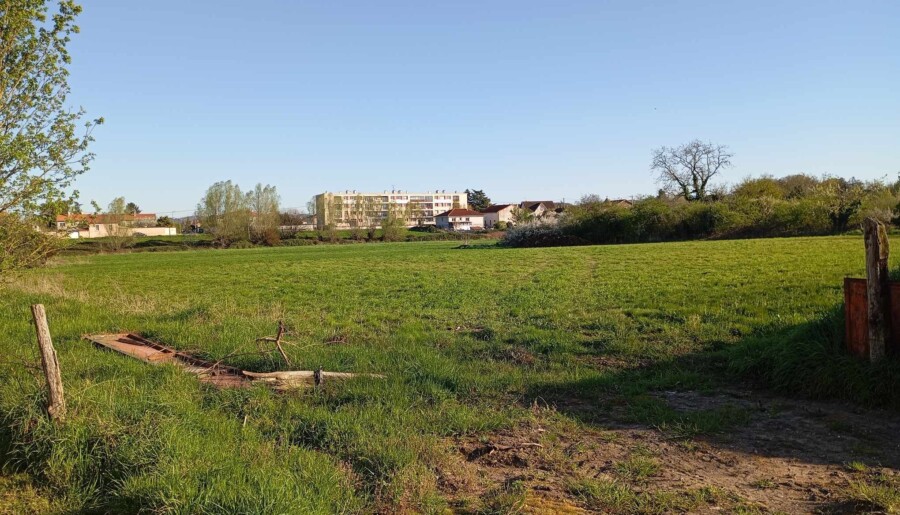 IL FAUT PRÉSERVER CES 3 HECTARES DE PRAIRIE