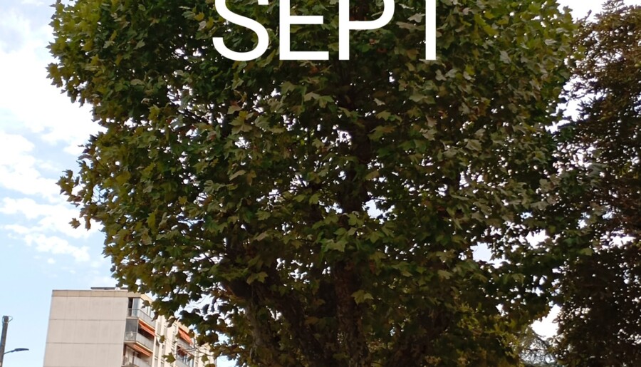 SEPT ARBRES SAUVÉS PAR LE COLLECTIF 88%